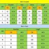 Men's 2 Pieces Tracksuits Running Jogging Athletic Casual Outfits Suit Solid Full Zip Sports Hooded Pants Sweatsuits - XL - grey